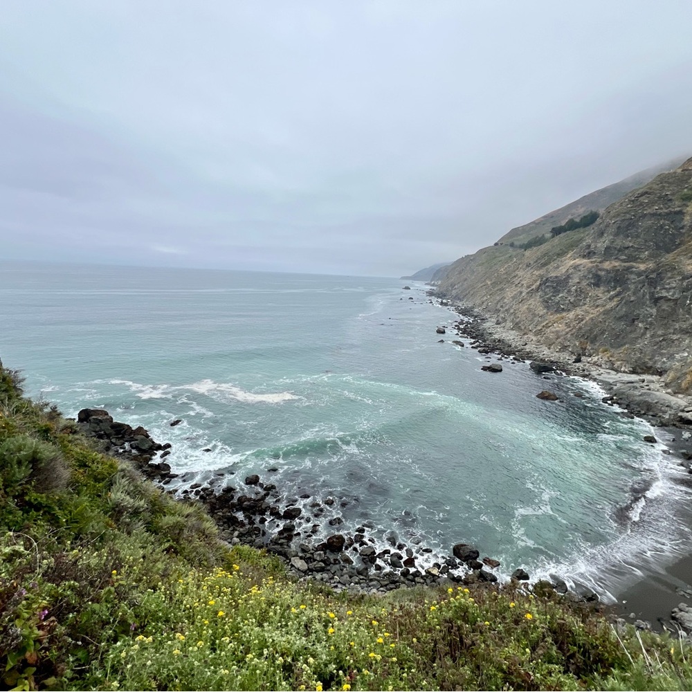 Meet your Posher, Joann